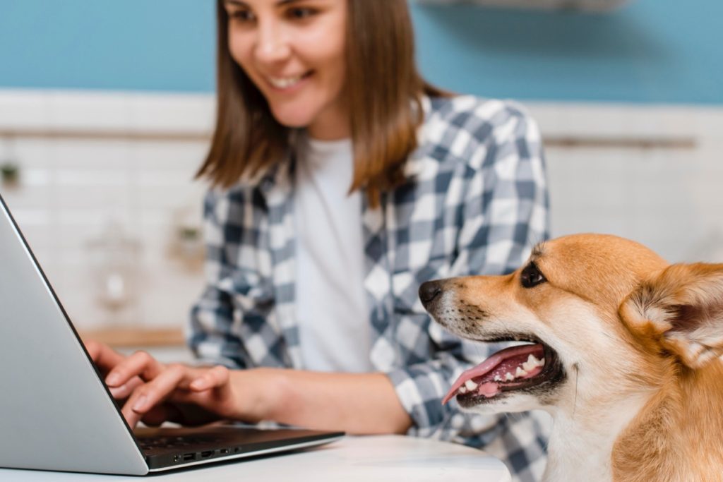 HP EliteBook 860 G11 konkuruje z takimi modelami jak Dell Latitude 16 7650 czy Lenovo ThinkPad T16 Gen 3 Intel.